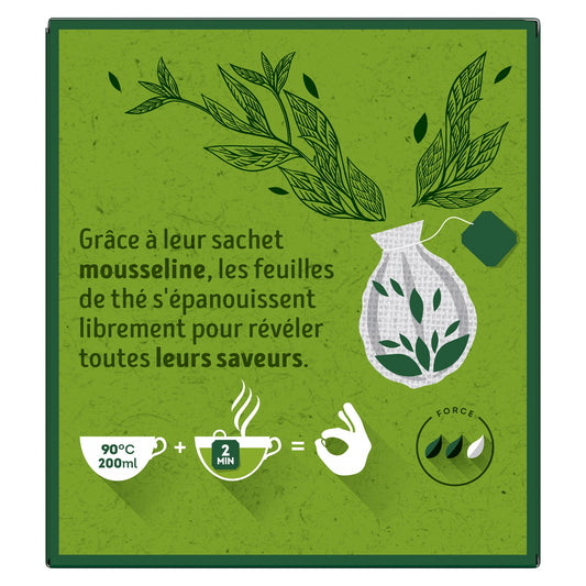 LIPTON Organic Marrakech Mint Green Tea