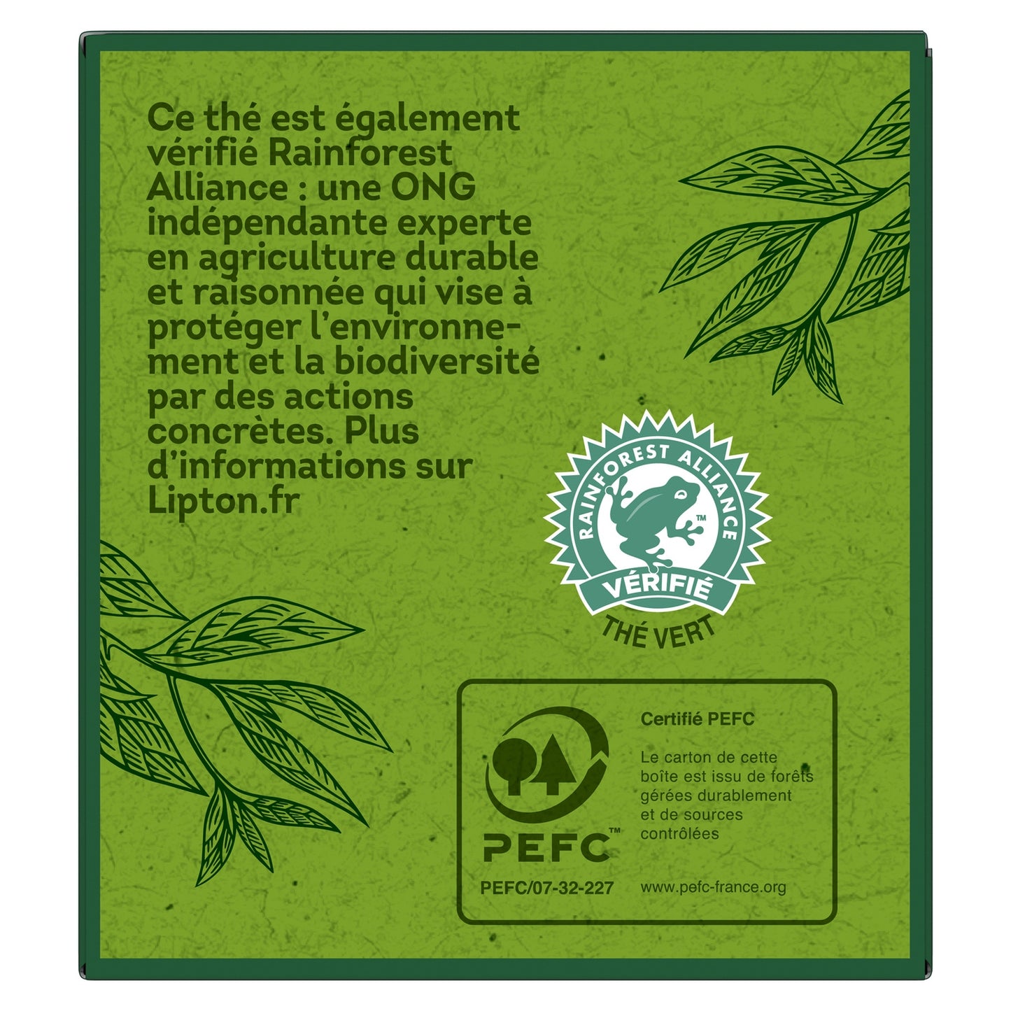 LIPTON Organic Marrakech Mint Green Tea