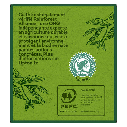 LIPTON Organic Marrakech Mint Green Tea