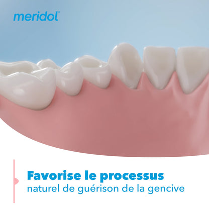 Dentifrice Expert Gencives Sensibles MERIDOL