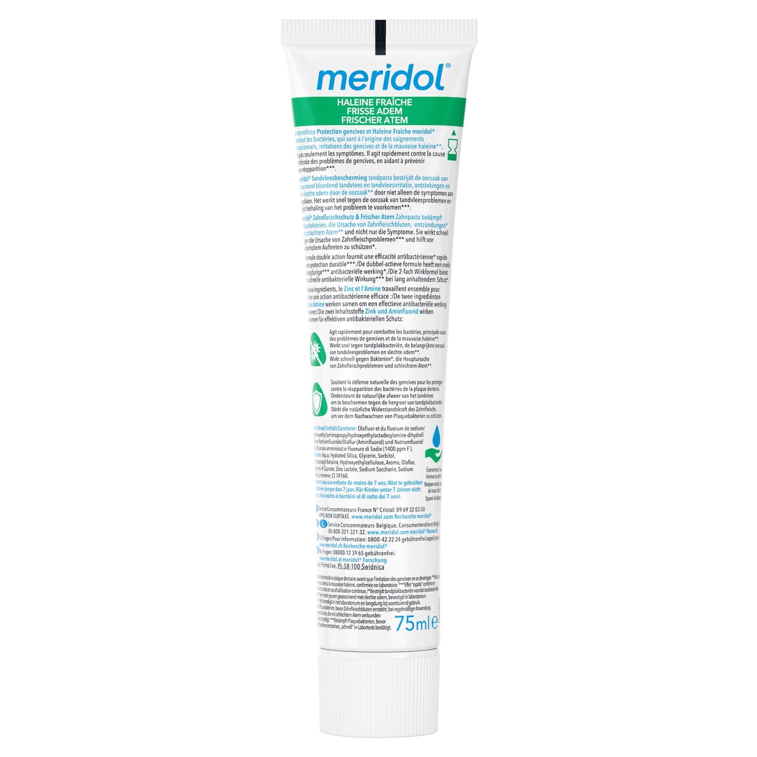Dentifrice Haleine Sûre Protection Gencives et Anti-bactérien MERIDOL 