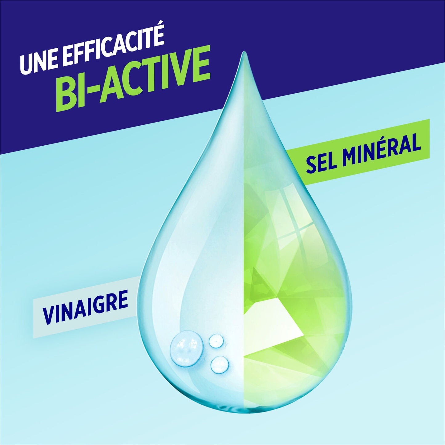 PAIC Bi-Activ' Vinegar &amp; Mineral Salt Dishwashing Liquid