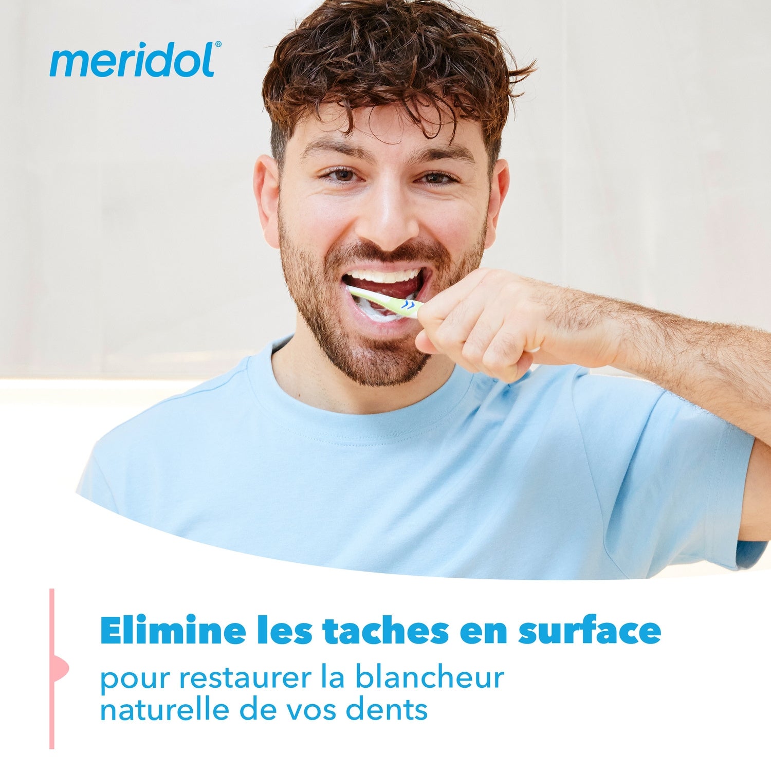 Dentifrice Blancheur Prévient le Saignement des Gencives MERIDOL 