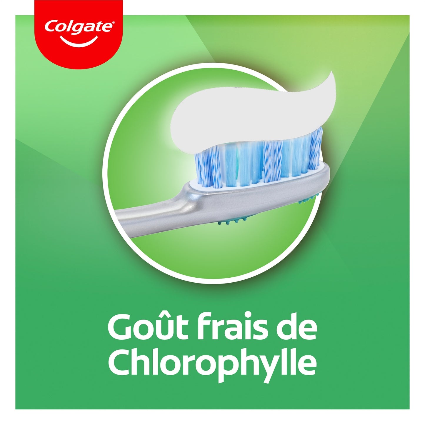 COLGATE Intense Freshness Chlorophyll Toothpaste