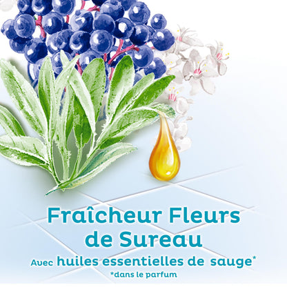 Nettoyant Ménager Multi-Surfaces Fraîcheur Fleurs de Sureau AJAX