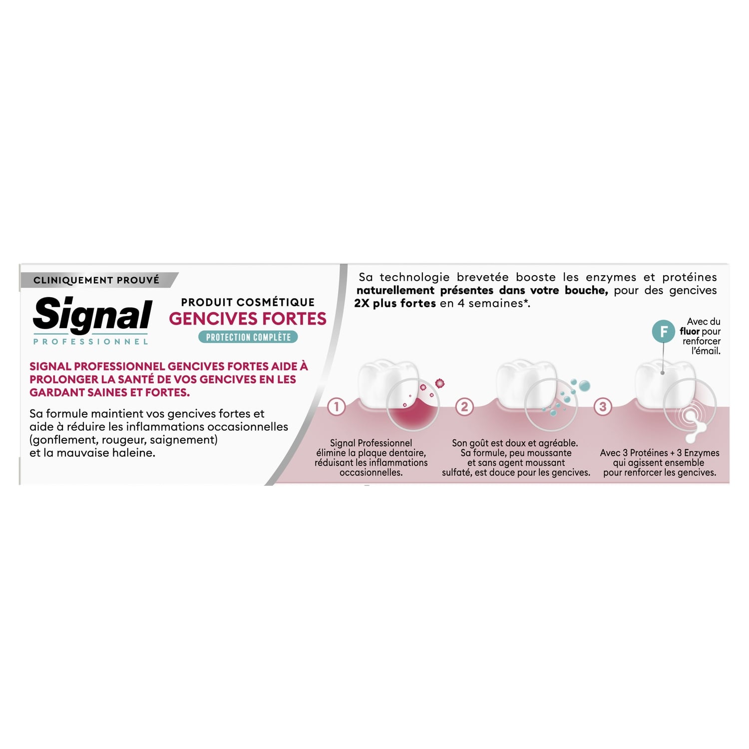 Dentifrice Gencives Fortes Protection Complète SIGNAL 