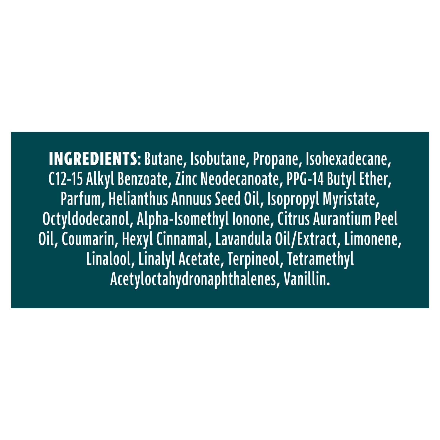 Déodorant Homme Pour tout le Corps 72h Amber Woods REXONA MEN 