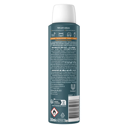 Déodorant Homme Pour tout le Corps 72h Amber Woods REXONA MEN 