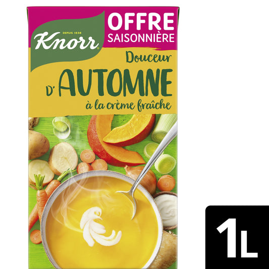 KNORR Autumn Sweetness Liquid Soup with Sour Cream