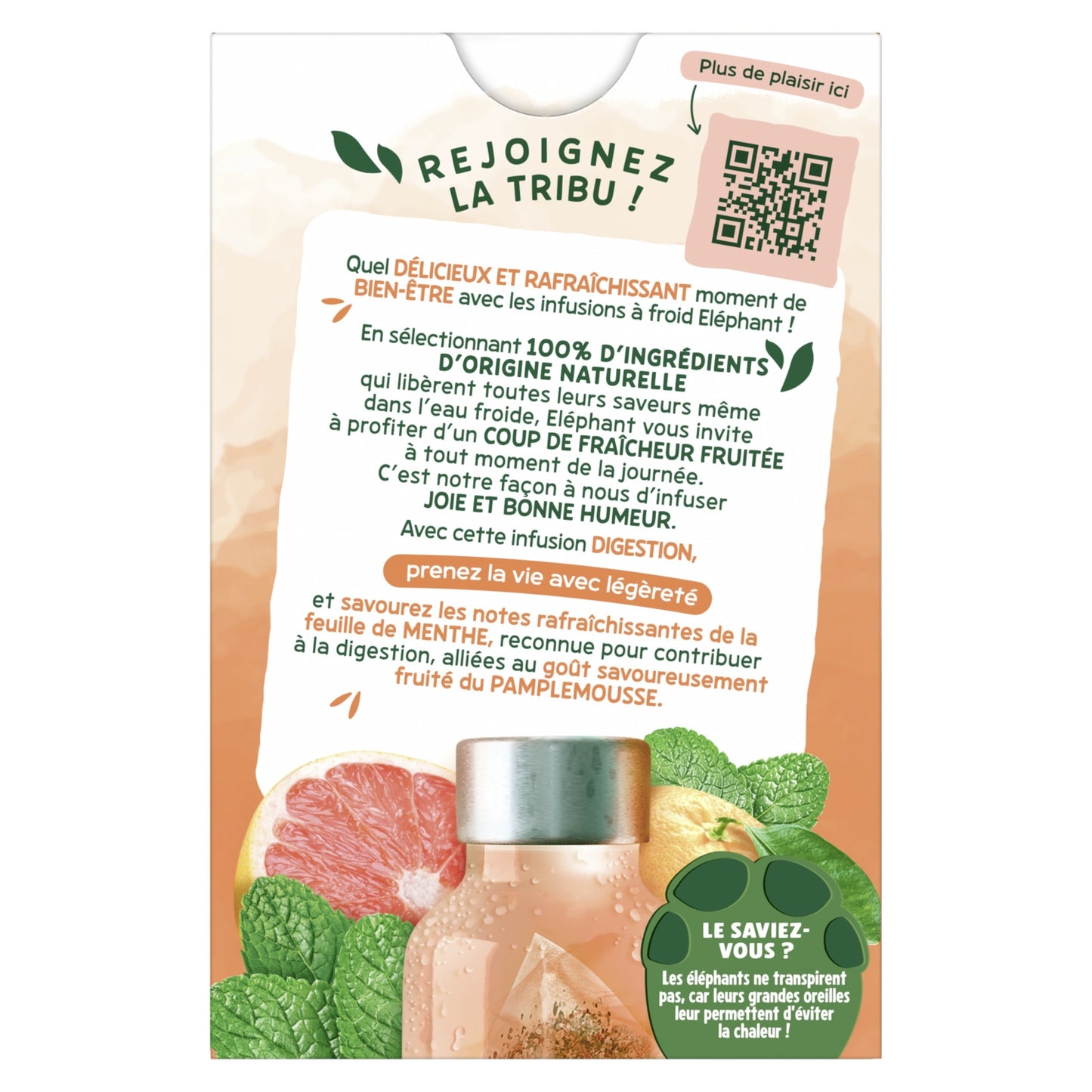 Infusion à Froid Digestion ELEPHANT