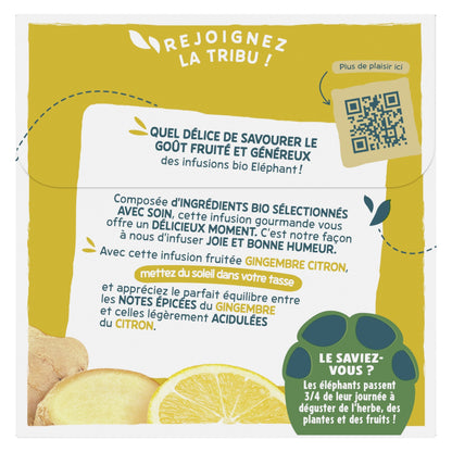Organic Ginger Lemon Infusion ELEPHANT
