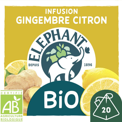 Organic Ginger Lemon Infusion ELEPHANT