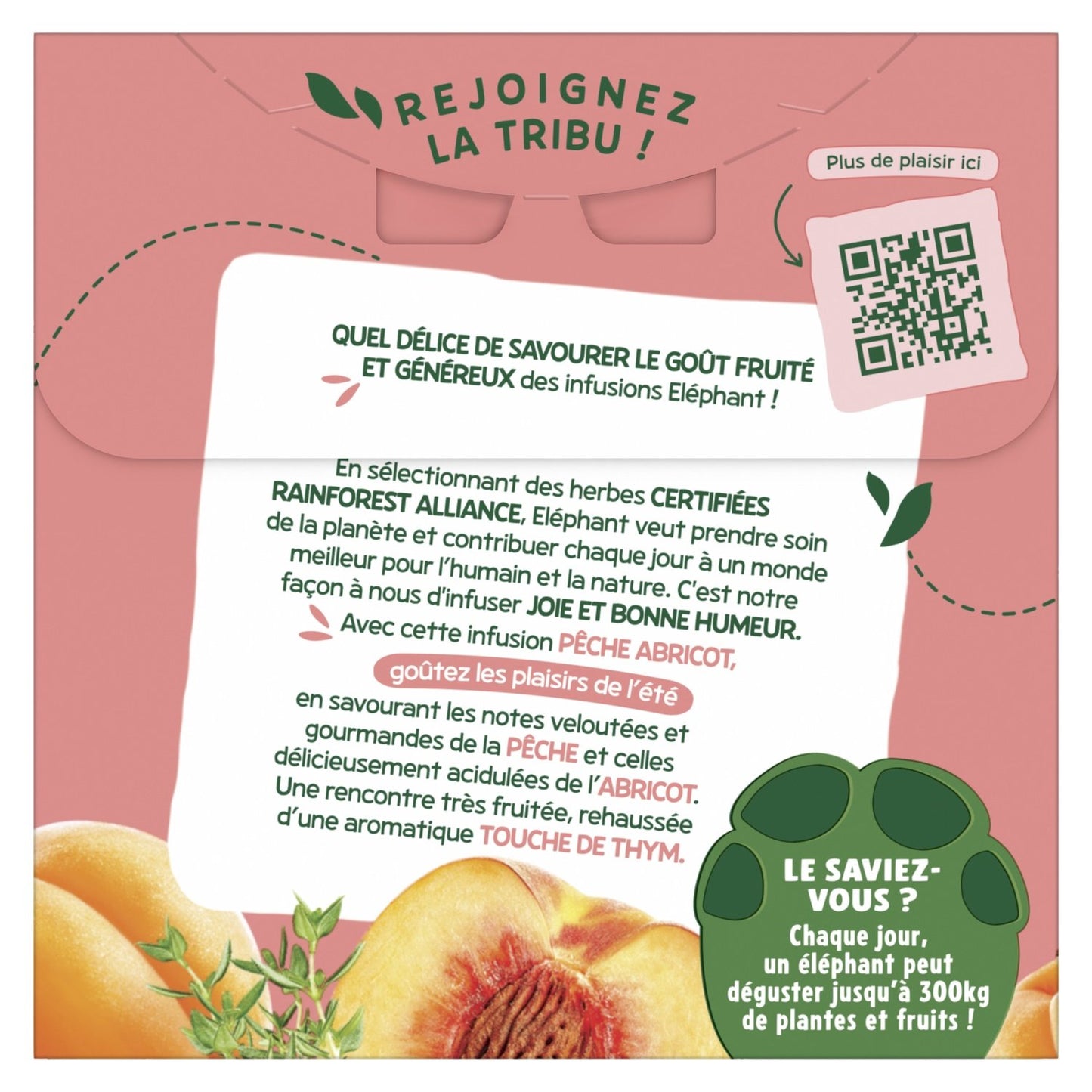 Infusion Pêche Abricot Thym ELEPHANT
