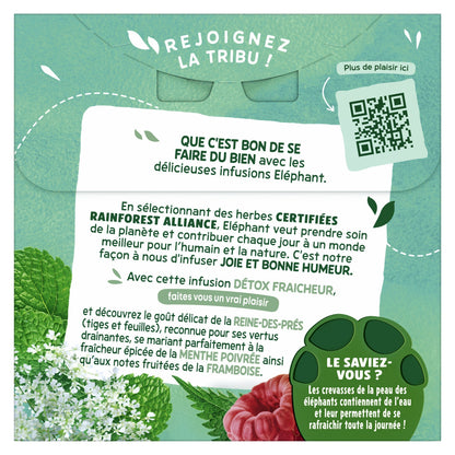 Infusion Reine des Prés Menthe Poivrée Framboise Feuille d'Ortie Détox Fraîcheur ELEPHANT