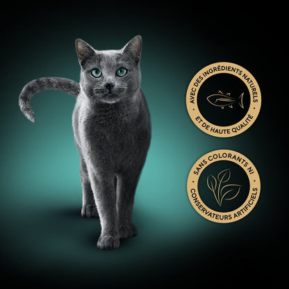 Pâtée pour Chat Adulte en Soupe Poulet SHEBA