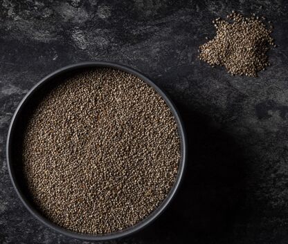 Graine de chia bio France ALLIANCE BIO