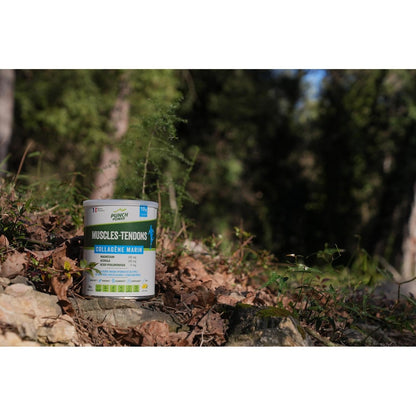 Décontractant Musculaire Collagène Marin 300g PUNCH POWER 
