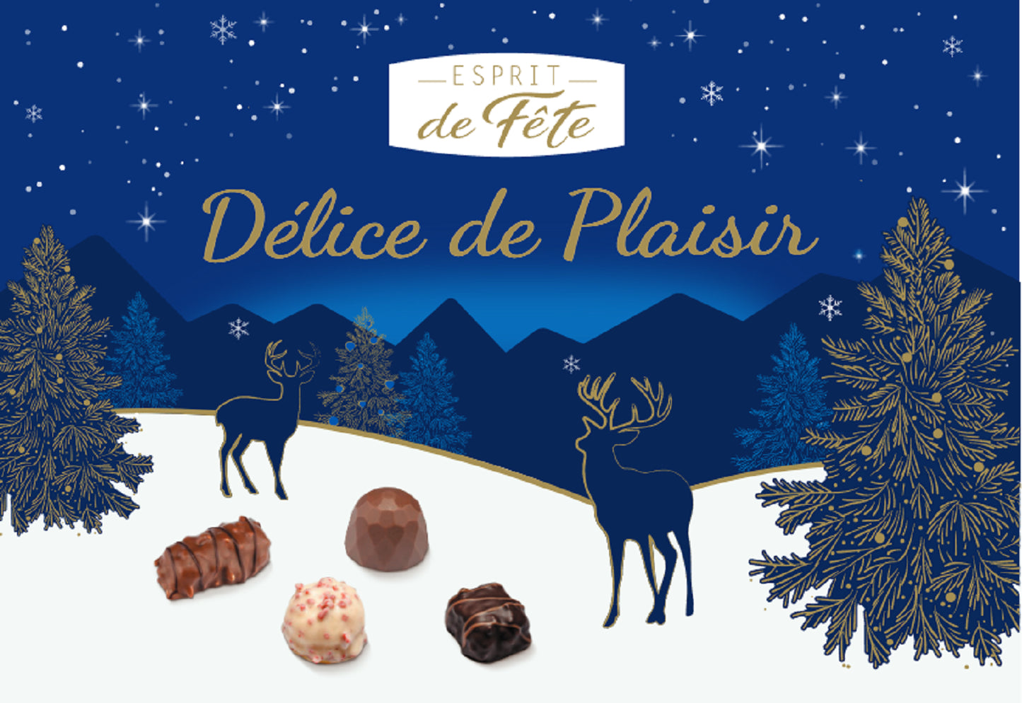 Assortiment de Chocolats Lait, Noir et Blanc ESPRIT DE FETE - Gamme de Noël 2025 la boite de 433g