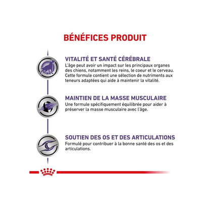 Croquettes pour Chien Large Mature Consult Expert ROYAL CANIN