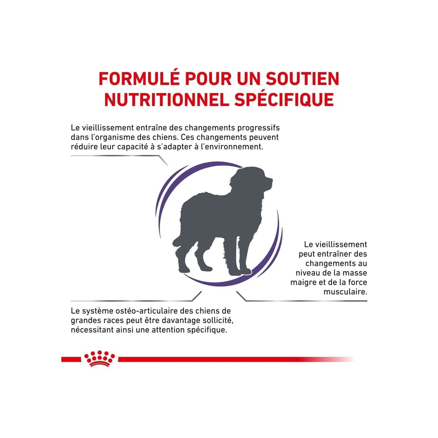 Croquettes pour Chien Large Mature Consult Expert ROYAL CANIN