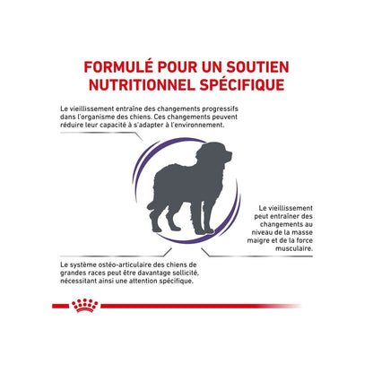 Croquettes pour Chien Large Mature Consult Expert ROYAL CANIN